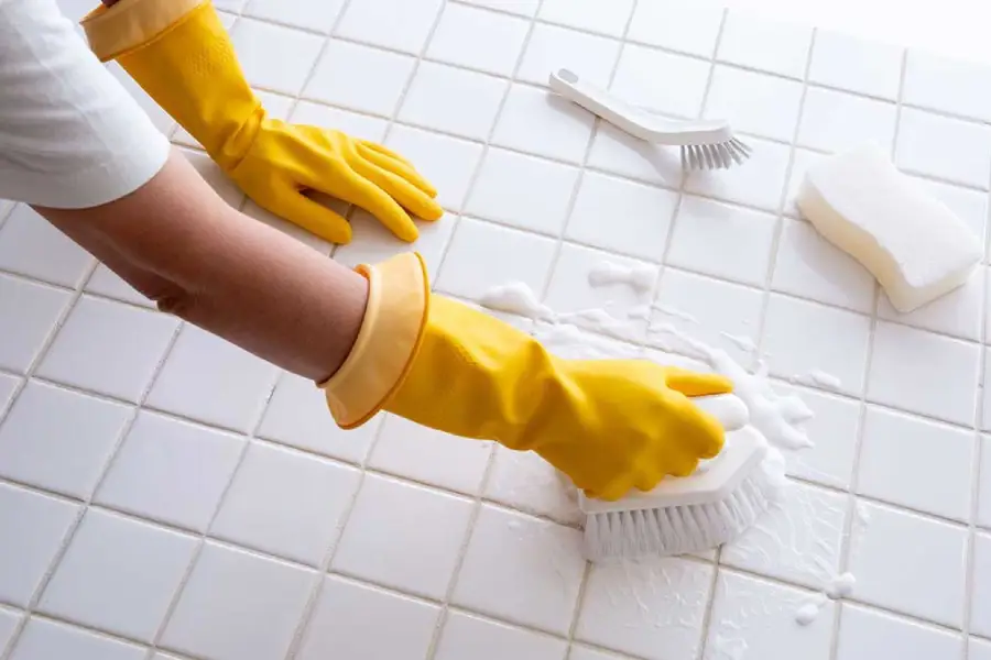 Monthly Cleaning